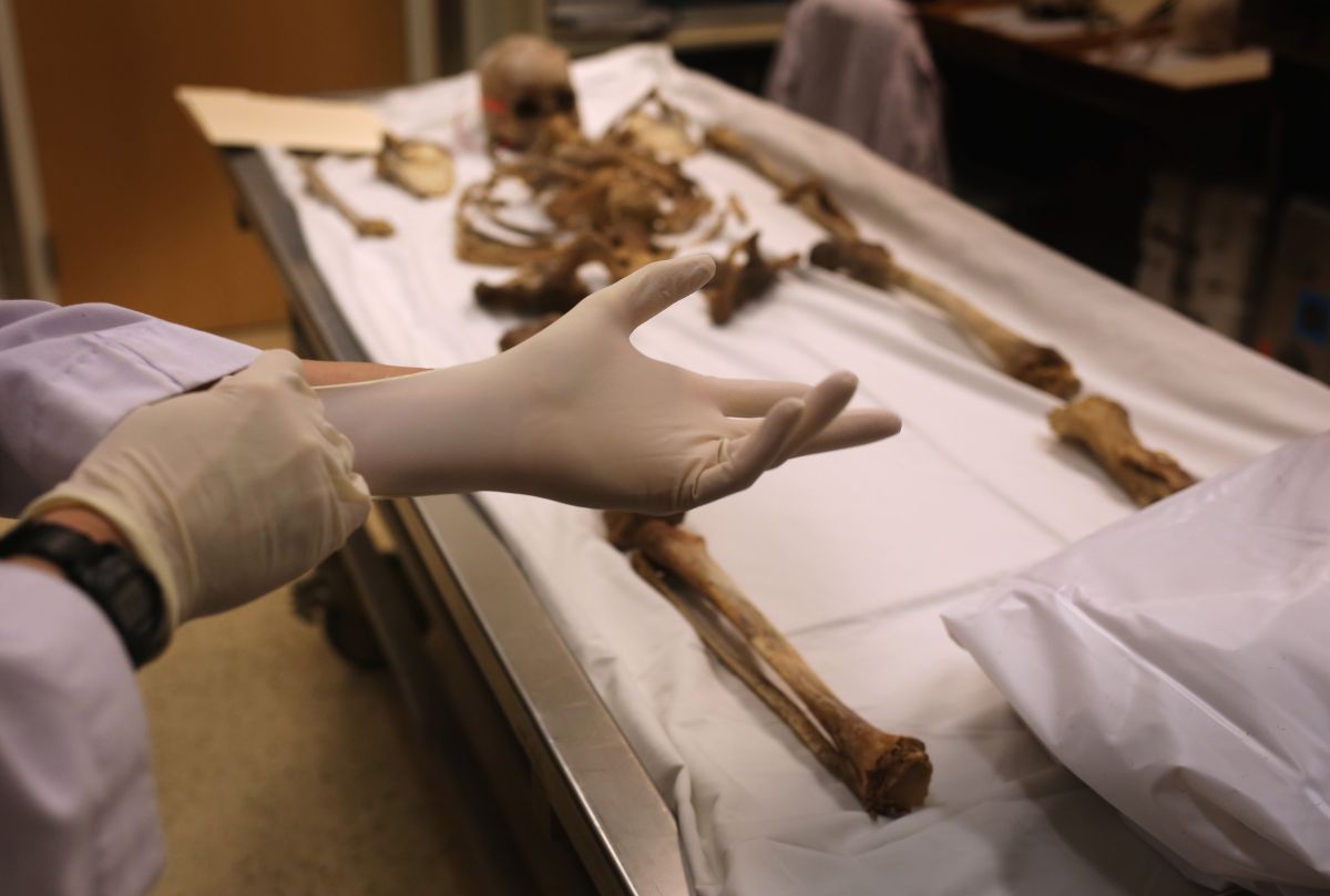 La antropóloga forense Tracy Van Deest examina restos esqueléticos en el condado Pima en Arizona.