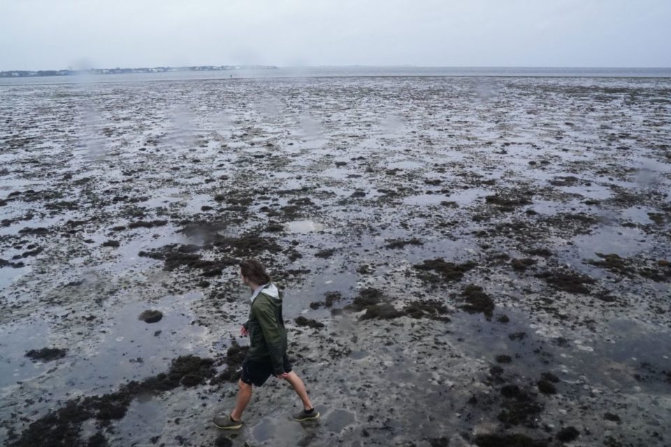 El agua de la bahía de Tampa se la llevó el huracán Ian.