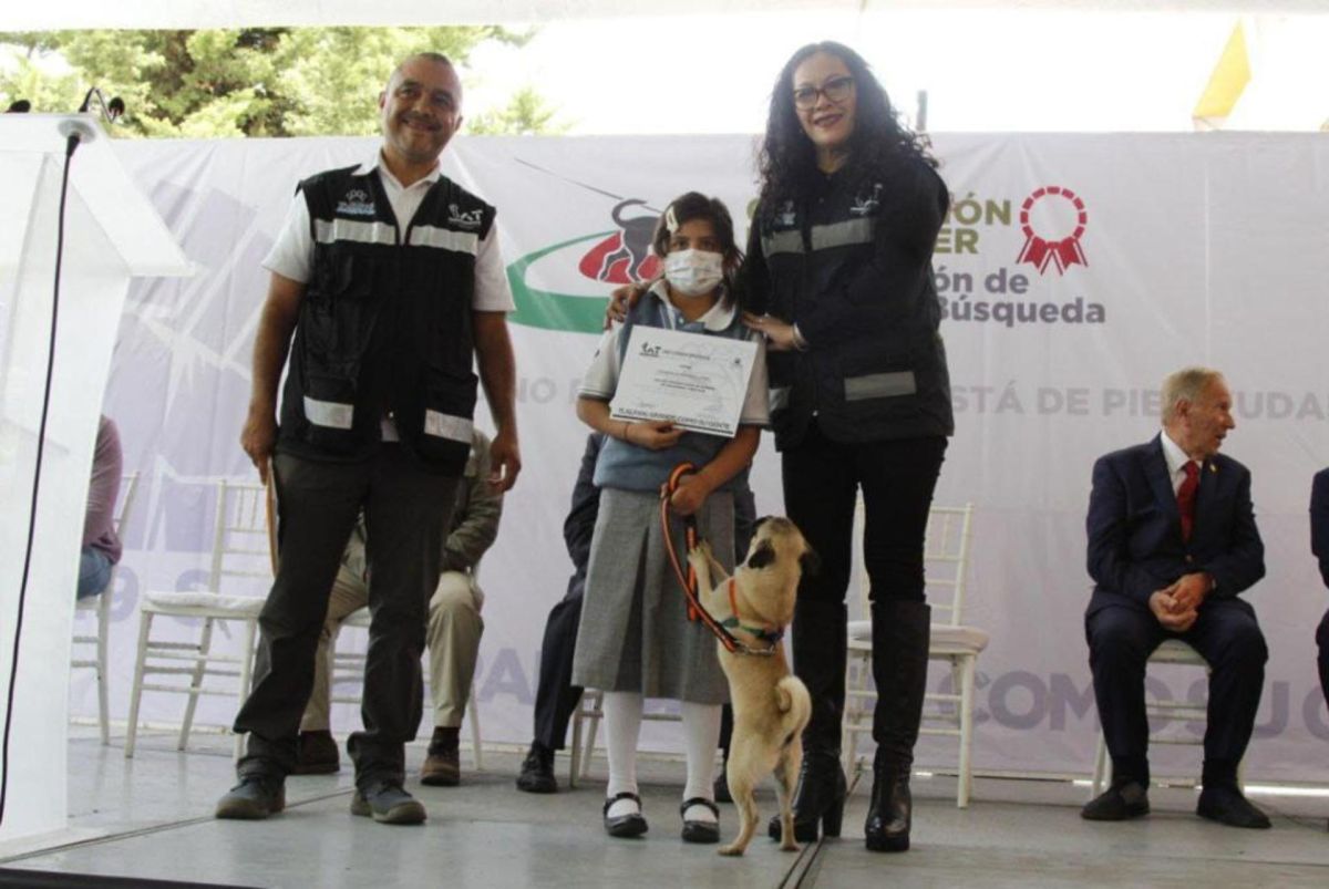 En el taller de rescate participaron perros de todas las razas.