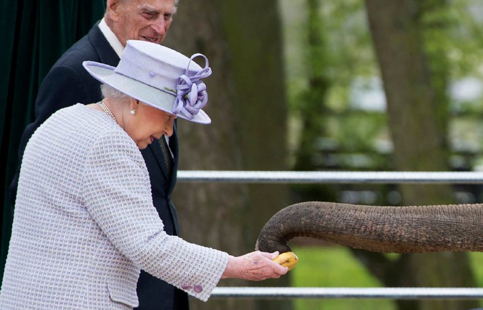 La Reina Isabel II alimentando a la madre de Nang Phaya, Donna.