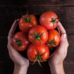 Investigadores encontraron que la proporción de bacterias “buenas” y “malas” cambió hacia un perfil más favorable en lechones alimentados con una dieta rica en tomate.