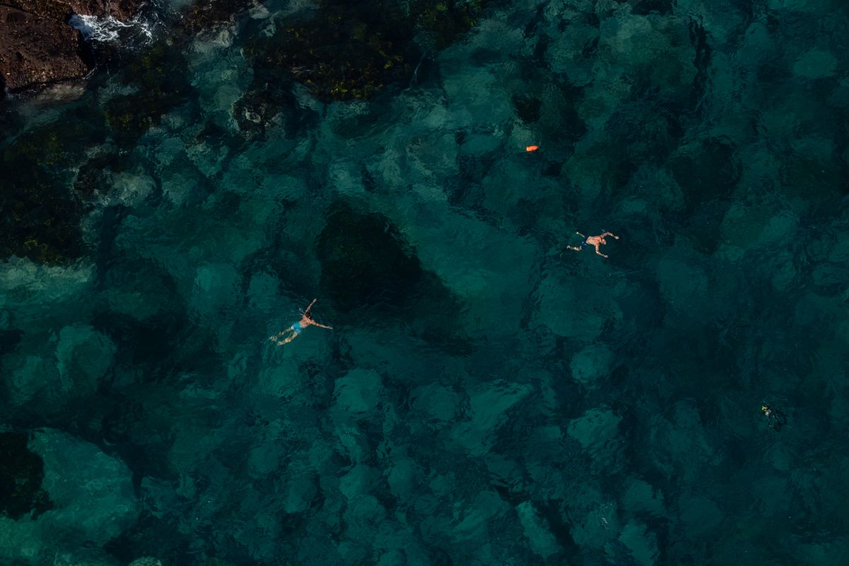 La pareja pasó 3 días en el océano en una paddleboard.