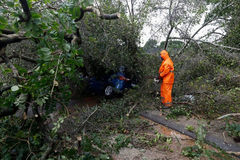 En el lugar del accidente aún se pueden ver las partes restantes del árbol caído sobre el vehículo.