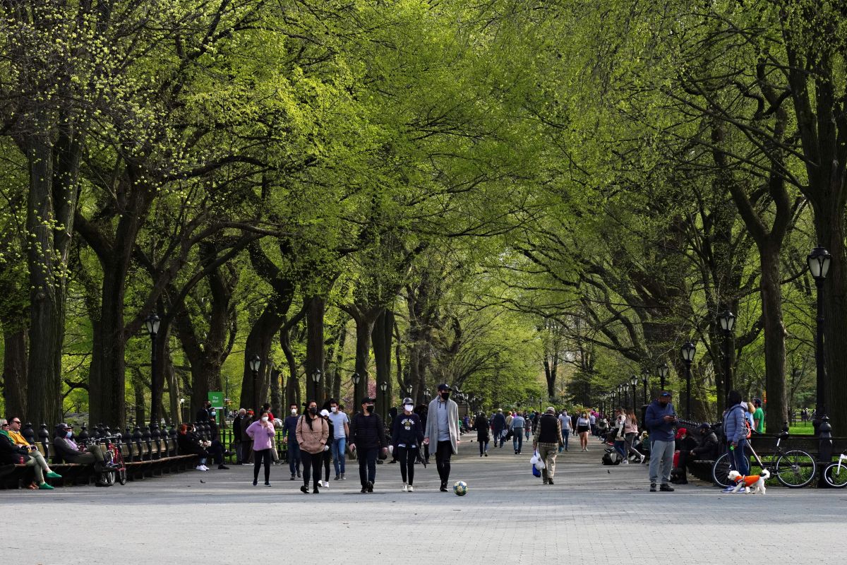 El sujeto golpeó cuatro veces la cabeza de la mujer contra un árbol.