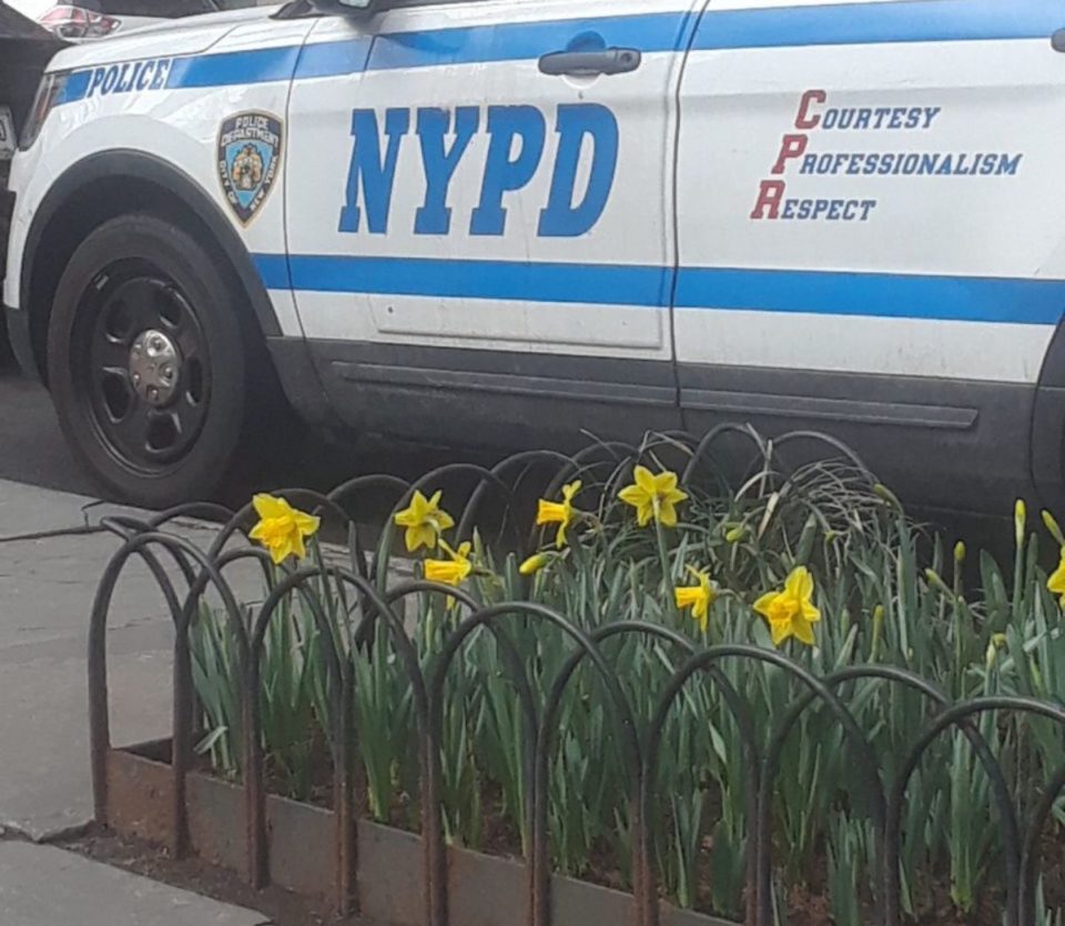 Patrulla de NYPD.