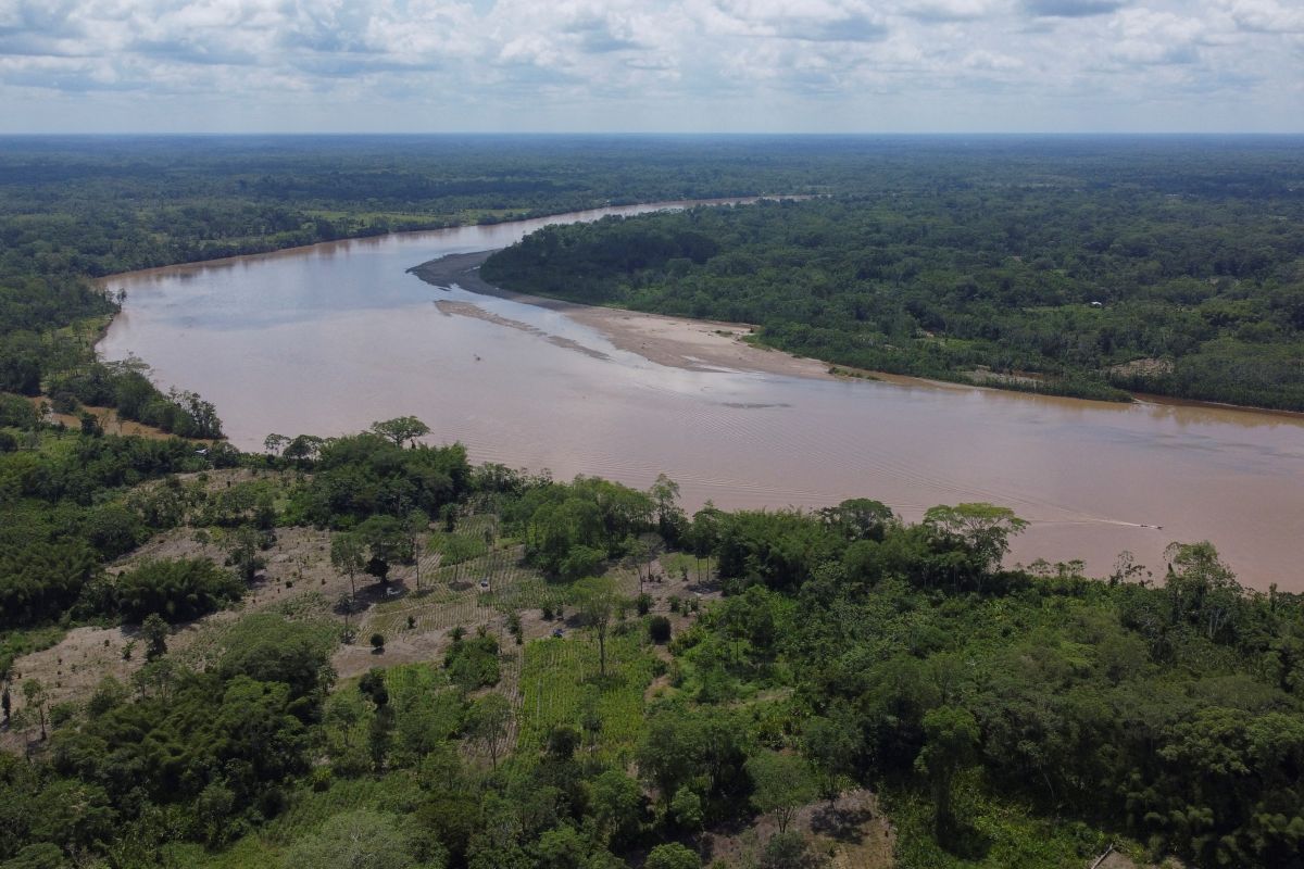 Guaviare, una vasta región de la Amazonía colombiana.